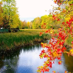 wapautumn nature landscapes autumn colorful