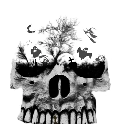 fteskull skull black halloween horror