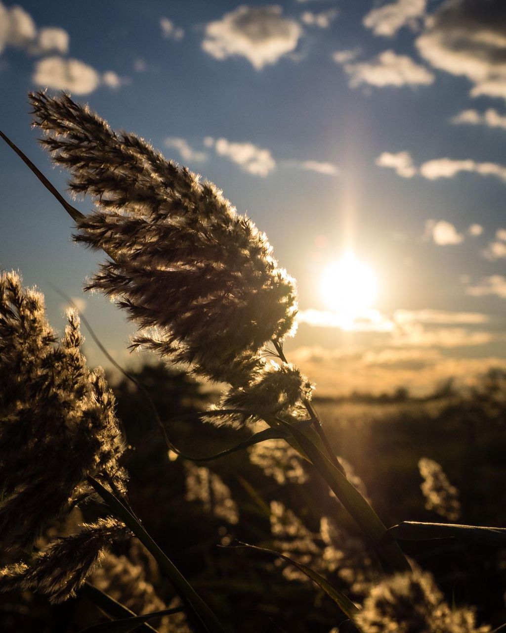 sky photography